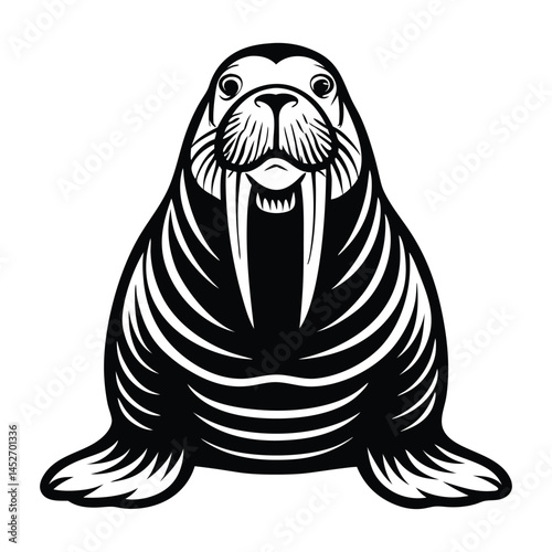 Vector illustration of walrus isolated on white background, Monochrome Walrus Sitting on the Ground