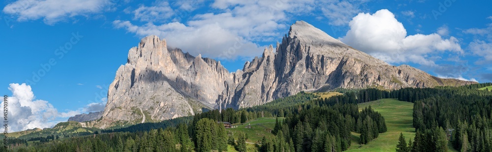 Obraz premium Panoramic view of the Dolomites mountains with lush green forests in South Tyrol, Italy.