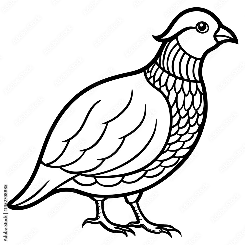 Fototapeta premium Elegant Quail in Minimal Vector Art