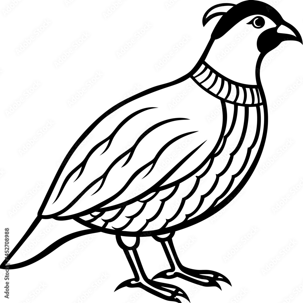 Obraz premium Elegant Quail in Minimal Vector Art