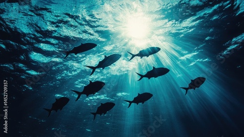 A group of fish swimming in synchrony below the shimmering surface of the ocean