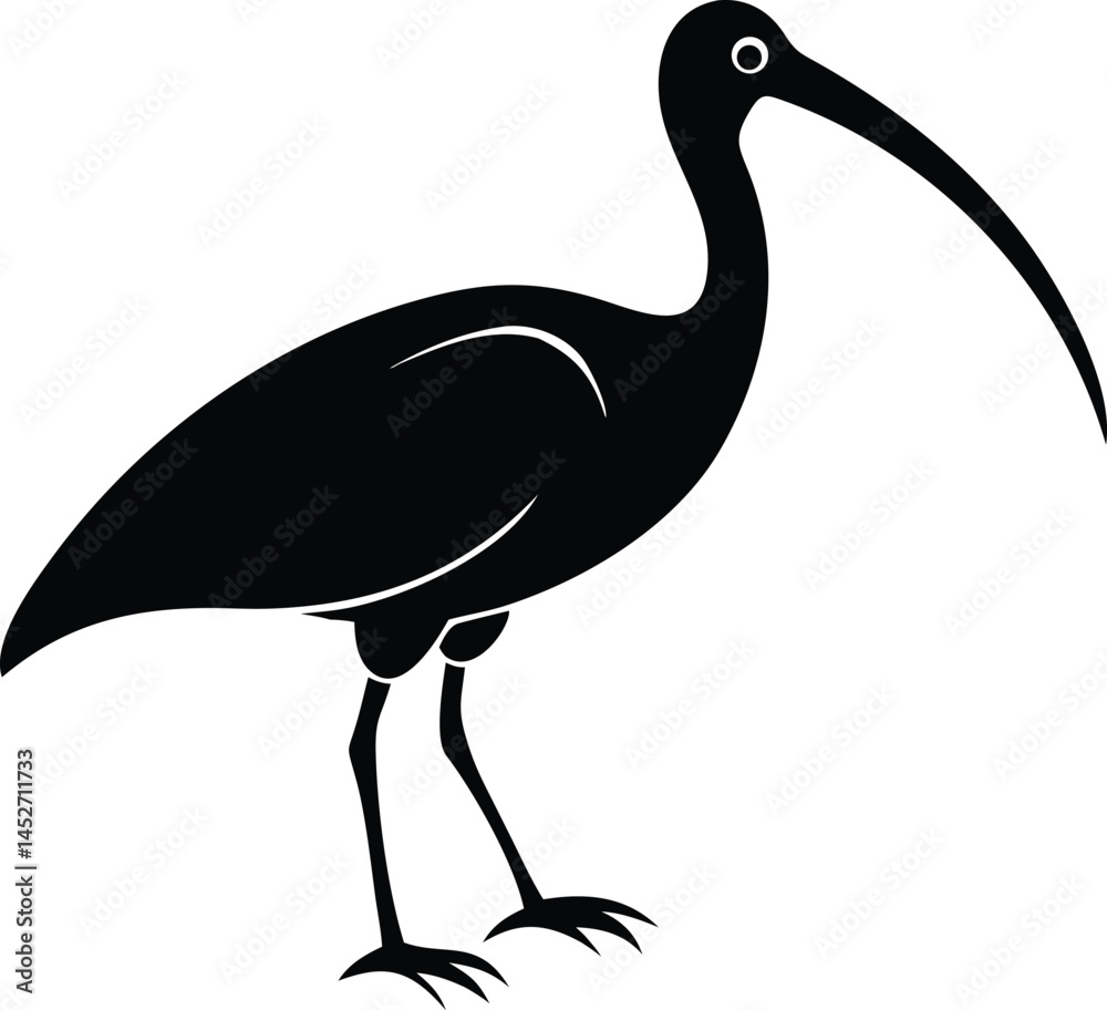 Fototapeta premium Minimalist Black and White Bird Silhouette with Stylized Feathers
