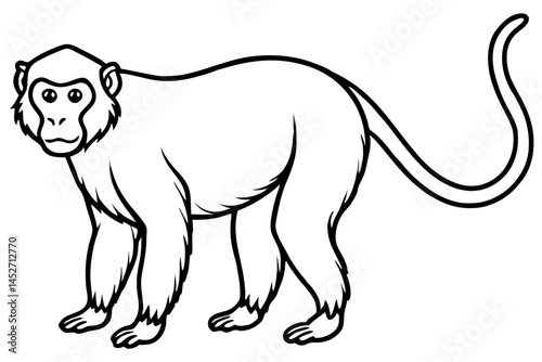 Minimalist Proboscis Monkey Line Art