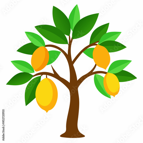 Mango tree
