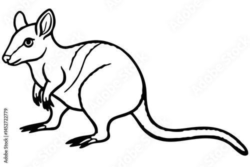 Minimalist Pademelon Line Drawing