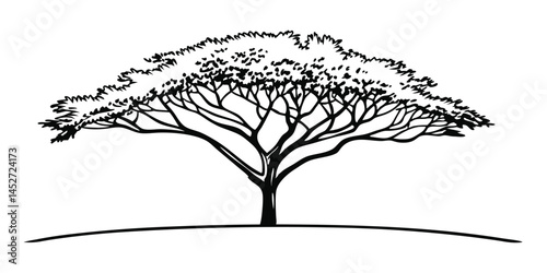 Serene Acacia Silhouette: A minimalist illustration captures the essence of a solitary acacia tree in a stark black and white design.
