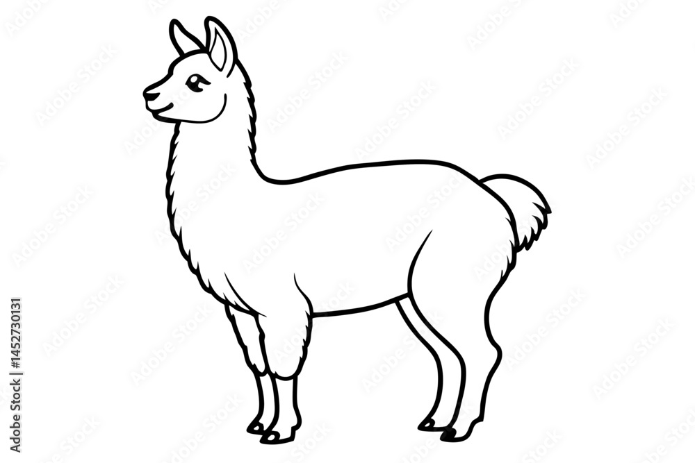 Fototapeta premium vector illustration of a llama