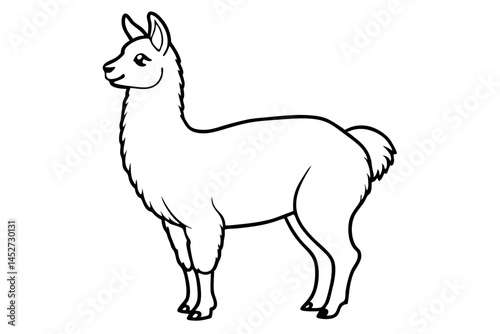 vector illustration of a llama