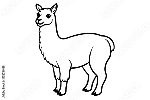 vector illustration of a llama