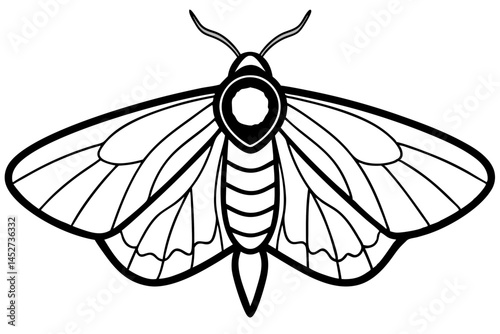 Minimalist Opal Moth Vector Art