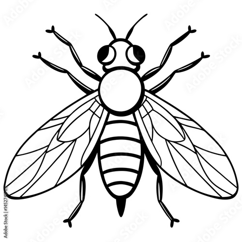 Horsefly Outline – Clean Vector Style