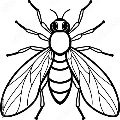 Horsefly Outline – Clean Vector Style
