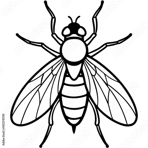 Horsefly Outline – Clean Vector Style