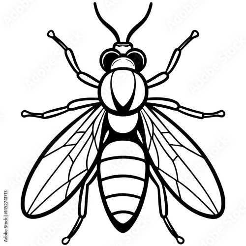 Horsefly Outline – Clean Vector Style