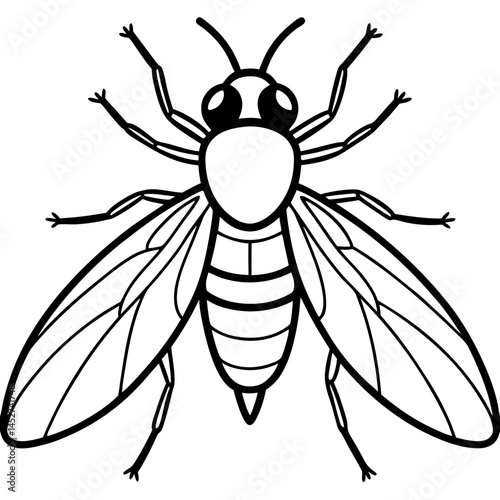 Horsefly Outline – Clean Vector Style