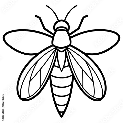 Elegant Firefly Line Art Design