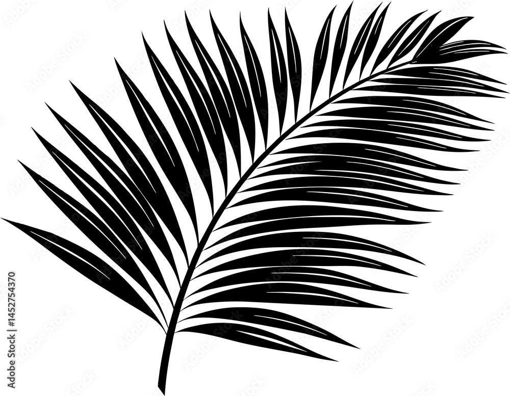 Fototapeta premium A single black bird feather, a natural plume, isolated as a vector illustration on white, evokes a sense of light design