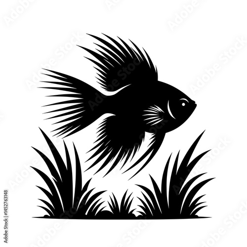 Exotic fish with long fins in underwater scene