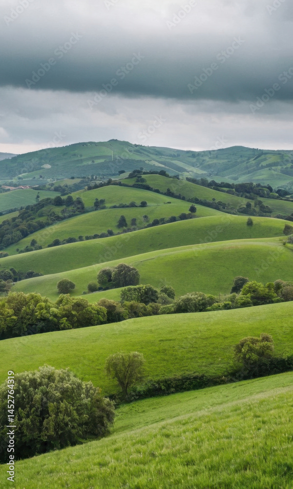 A group of sheep feeding on a lush green hillside, ideal for use in agricultural or nature-related contexts A group of sheep feeding on a lush green hillside, ideal for use in agricultural or nature-related contexts