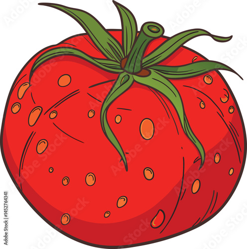 tomato on a white background