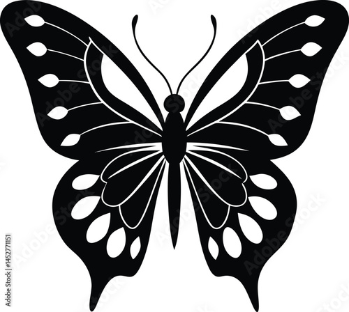 Butterfly silhouette isolated on white background