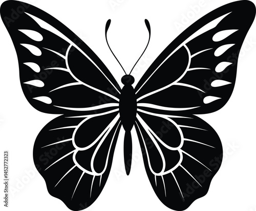 Butterfly silhouette isolated on white background