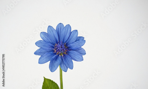 Obraz na płótnie A single blue flower sits inside a clear glass vase surrounded by green leaves w salonie