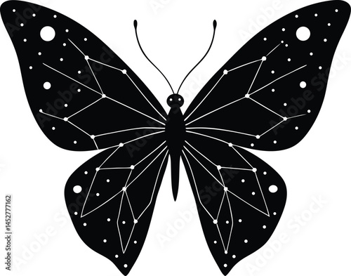 Butterfly silhouette isolated on white background