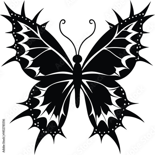 Butterfly silhouette isolated on white background