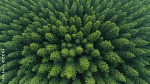 Overhead view of expansive green field showing uniform texture and natural environment illustration for agriculture or environmental themes