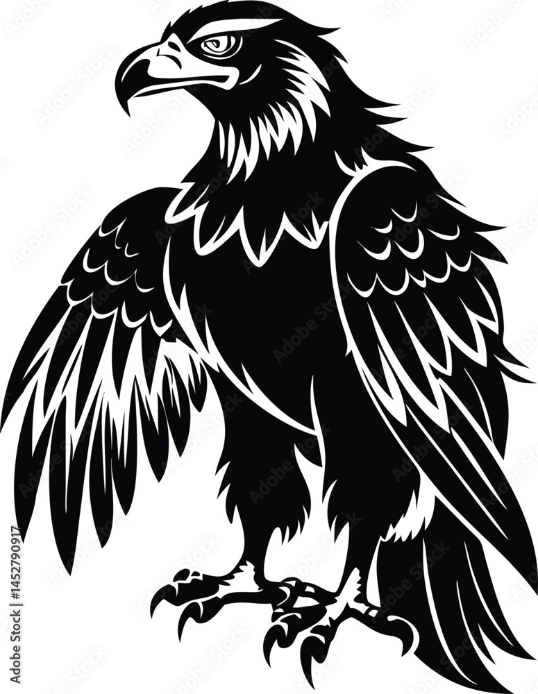 Fototapeta premium Set of Four Black Silhouettes of Hawk Birds with Detailed Feathers 