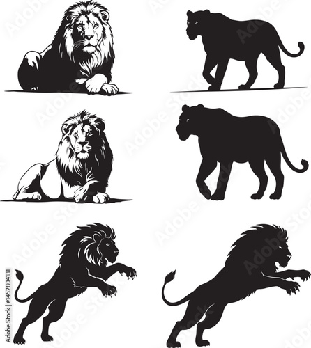 Lion Silhouette Bundle vector illustration
