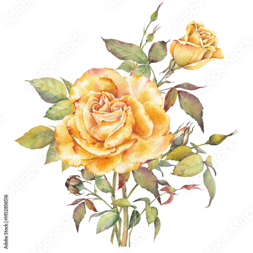 Φωτογραφία Yellow rose illustration in watercolor, hand-painted with delicate botanical elements