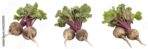 Set of Two freshly harvested purple beets with deep purple leaves, lying side by side on a rustic wooden table on transparent png background. Ai generated