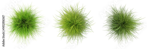 Set of High-resolution stock photo of a small, green, fuzzy ball of grass placed in the center on transparent png background. Ai generated