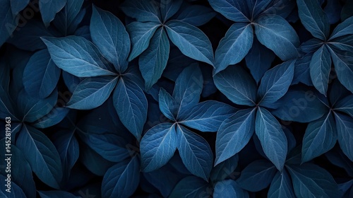 Midnight Blue Leaves Natures Dark Elegance.