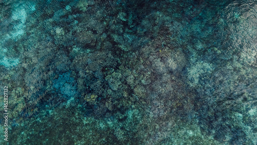 Fototapeta Naklejka Na Ścianę i Meble -  Tropical ocean surface with coral reef underwater. Top down top view
