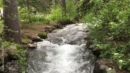 Fast moving stream in the mountains going down a gentle slope surrounded by trees, rocks and plants in Utah. Rapid river in Sundance Utah.  Power of nature.