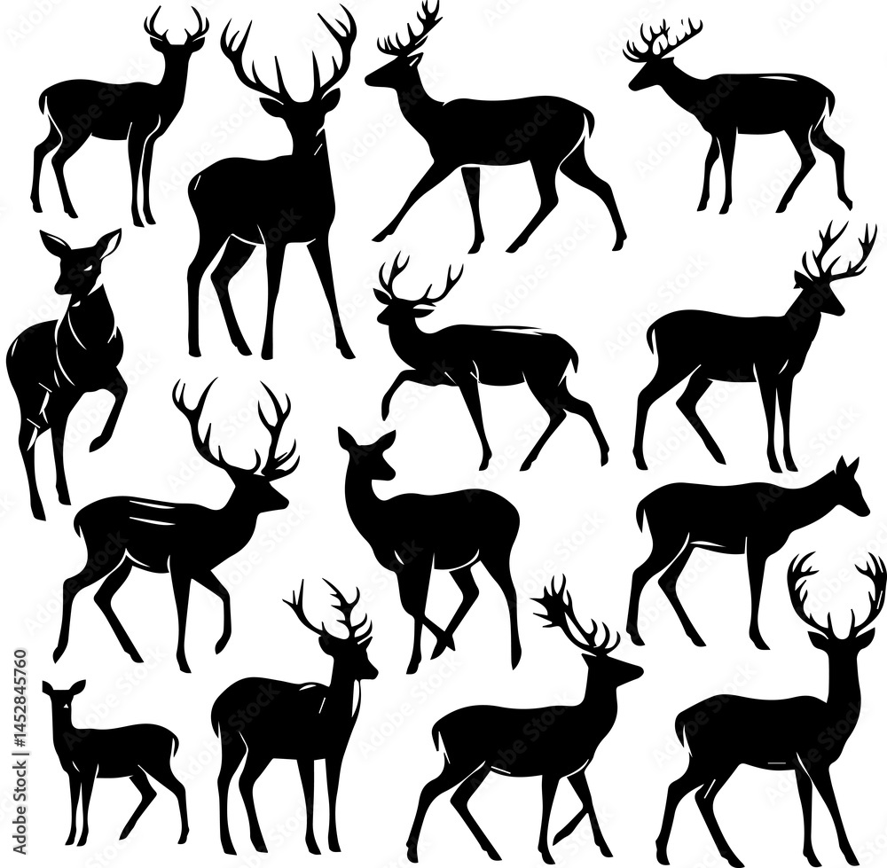 Fototapeta premium Deer