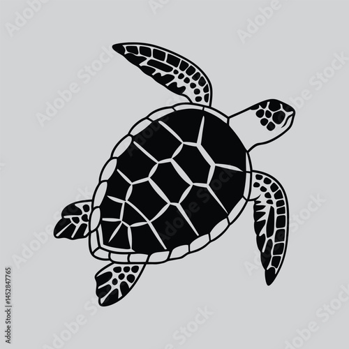 Detailed Sea Turtle Illustration in Black