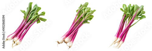 Set of High-resolution stock photo of a fresh bunch of red radishes with green leaves on a rustic wooden table on transparent png background. Ai generated