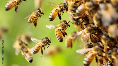 Flying honey bees into beehive. Gathering pollen on meadow. Macro shot, low depth of focus.