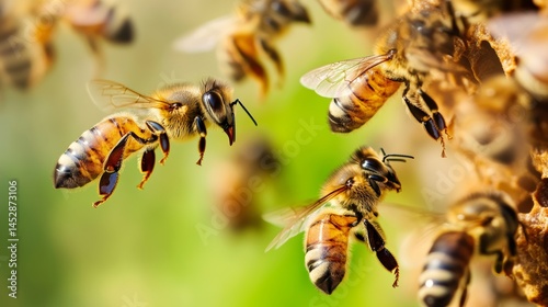 Flying honey bees into beehive. Gathering pollen on meadow. Macro shot, low depth of focus.