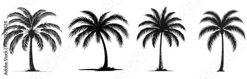 Silhouette illustration of four palm trees in a row against white backdrop
