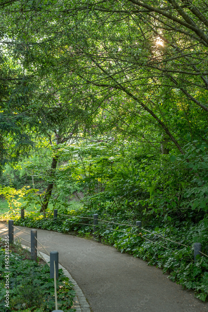 Fototapeta premium Le Parc des Bruyères dans la ville de Bois Colombes à côté de Paris