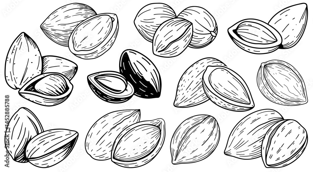Whole and cracked almond nuts drawn in outline style. Includes visible kernels and shell textures. Black and white composition. Suitable for food packaging, botanical or nutrition themed design Whole and cracked almond nuts drawn in outline style. Includes visible kernels and shell textures. Black and white composition. Suitable for food packaging, botanical or nutrition themed design