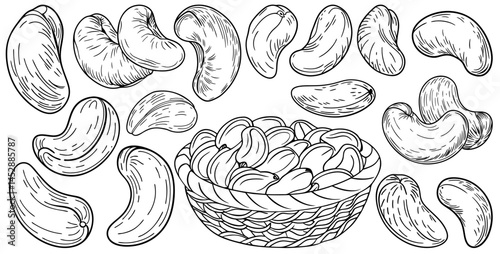 Cashew nuts falling into wicker basket, shown in black and white outline style. Includes curved nut shapes and woven basket texture. Suitable for food packaging, nutrition, or botanical design themes.