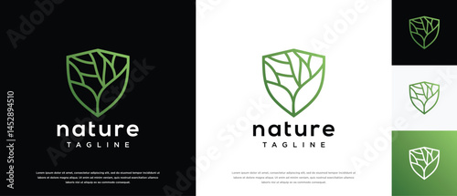 Nature shield logo design template. Vector icon of nature shield logo design with leaves made with lines