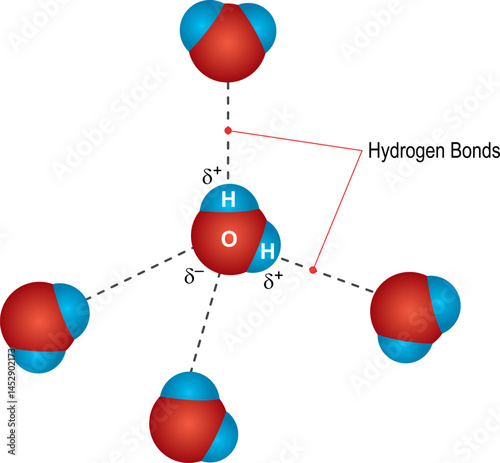 Hydrogen Bonds of Water Molecules. H2O molecules and their arrangement, bond electron formulas and free electrons.
