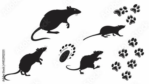 Black rat silhouette vector illustration rodent pest control design rats and paw prints animal tracks art
